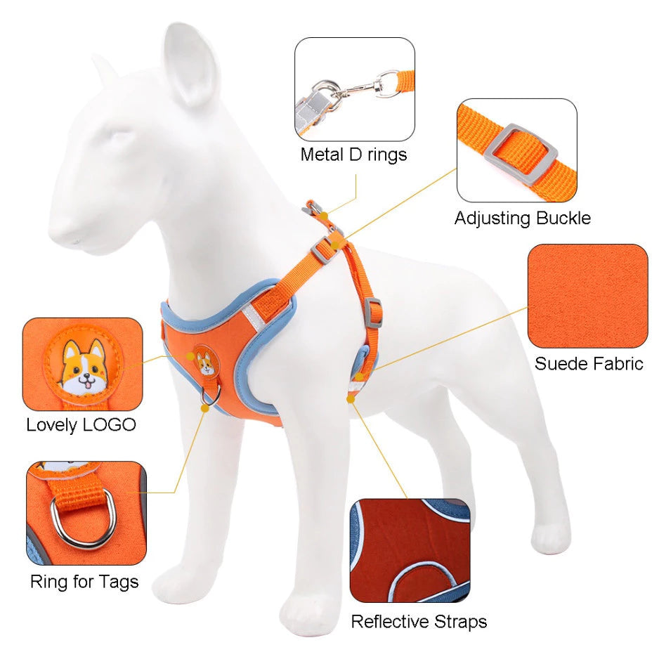 Compre Já Brasil Indica para Seu PET Coleira Peitoral Cachorro E Gato, Conjunto De Guia + Coleira Tipo Colete Para Pet Pequenos E Médios