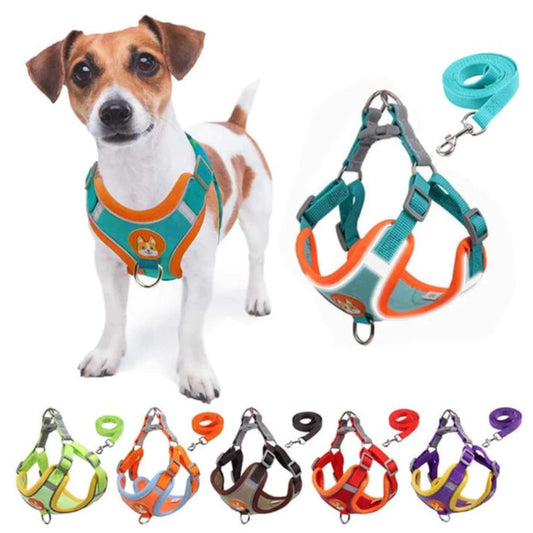 Compre Já Brasil Indica para Seu PET Coleira Peitoral Cachorro E Gato, Conjunto De Guia + Coleira Tipo Colete Para Pet Pequenos E Médios